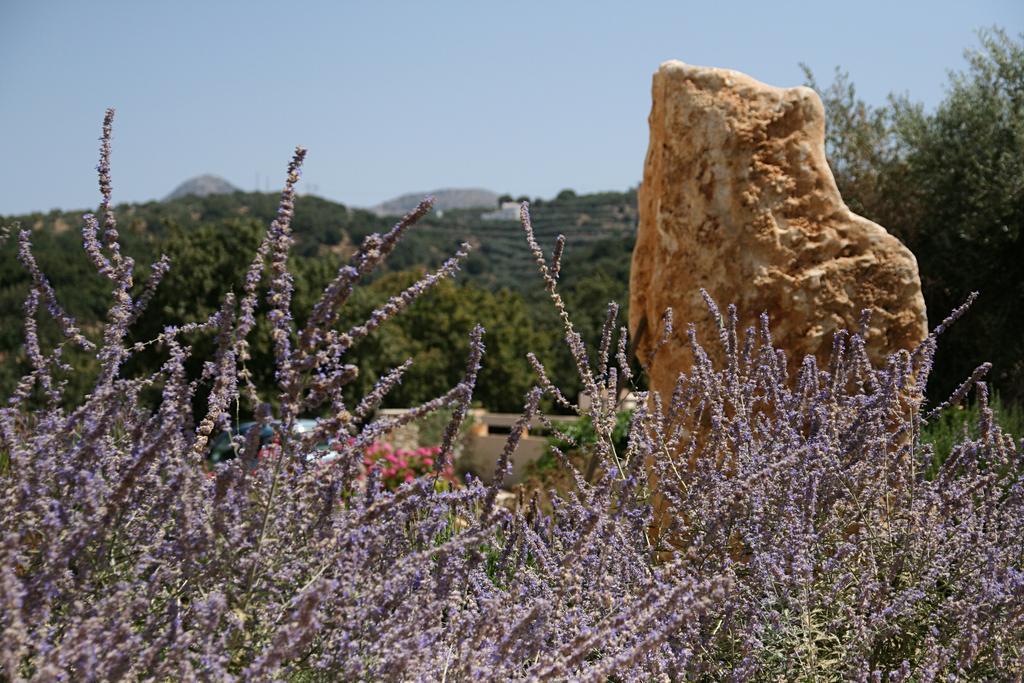 Deluxe Villa Ianthos - Outdoor Hot Tub & Kids Pool Gallos Bagian luar foto